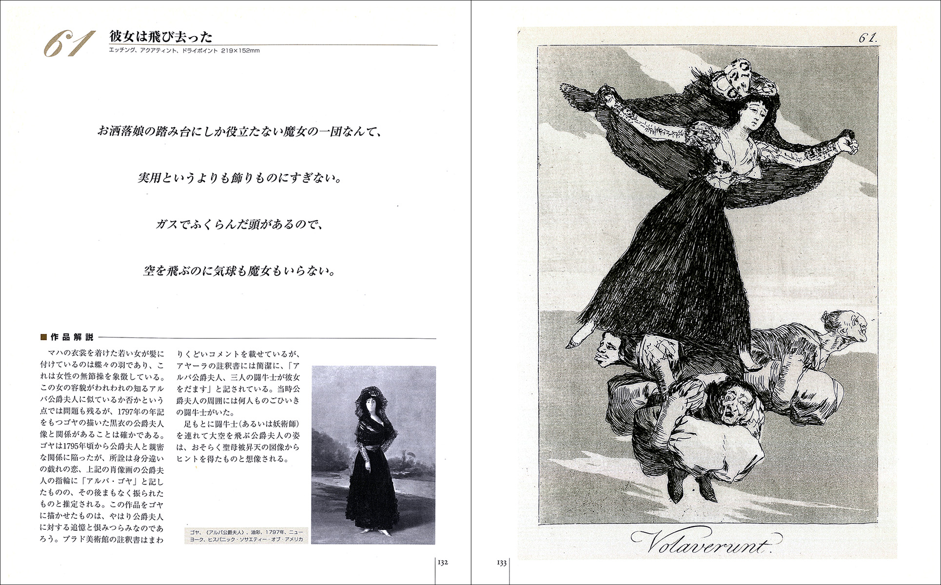 ゴヤ ロス・カプリチョス［寓意に満ちた幻想版画の世界］ - 株式