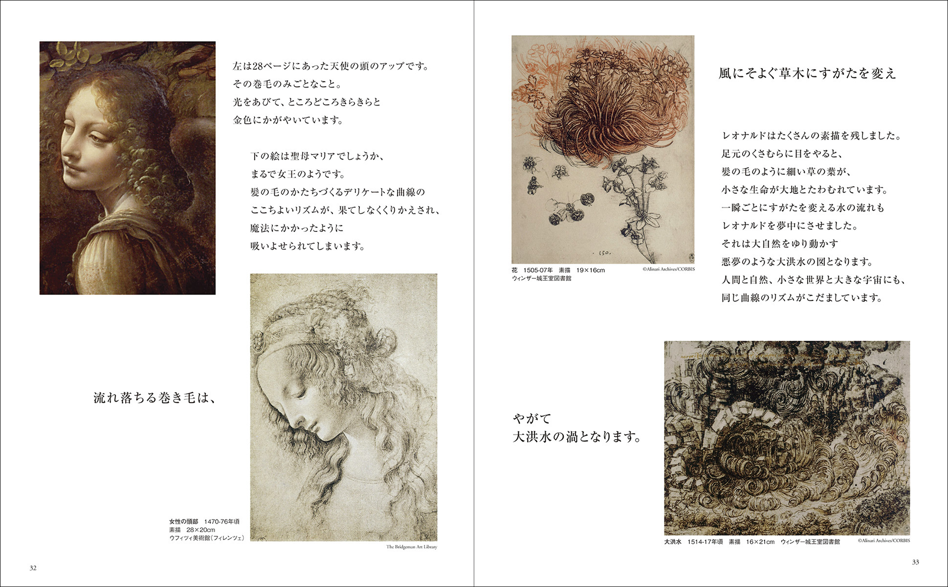 イメージの森のなかへ：レオナルドの謎 - 株式会社二玄社