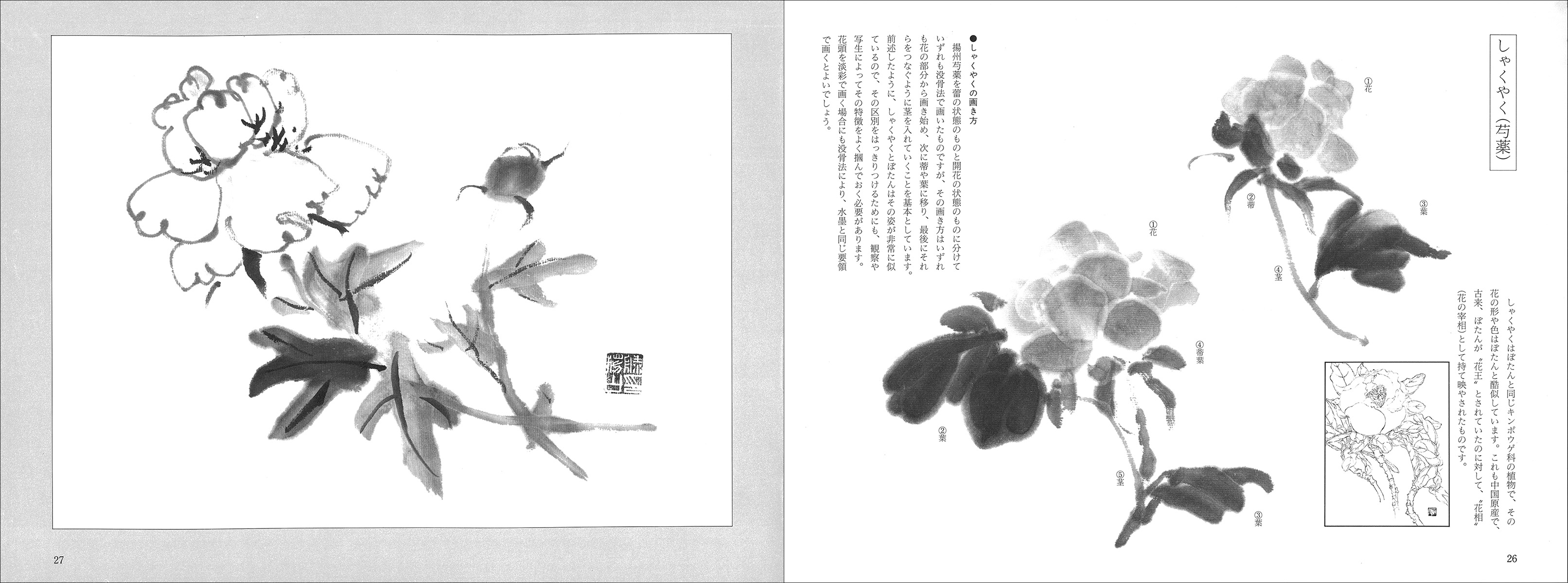 水墨画法 5：花卉蔬果 - 株式会社二玄社