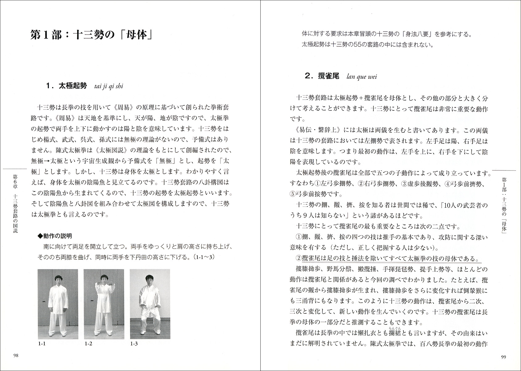 太極拳の源流を求めて［十三勢套路の発見］ - 株式会社二玄社