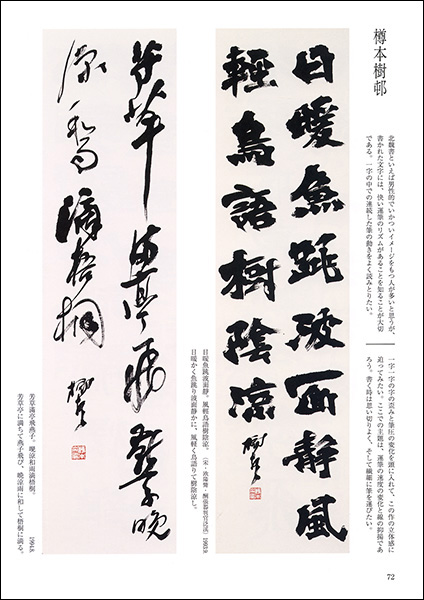 条幅範書百選 全2冊揃【漢字篇・かな篇】(青山杉雨 編) / 古本