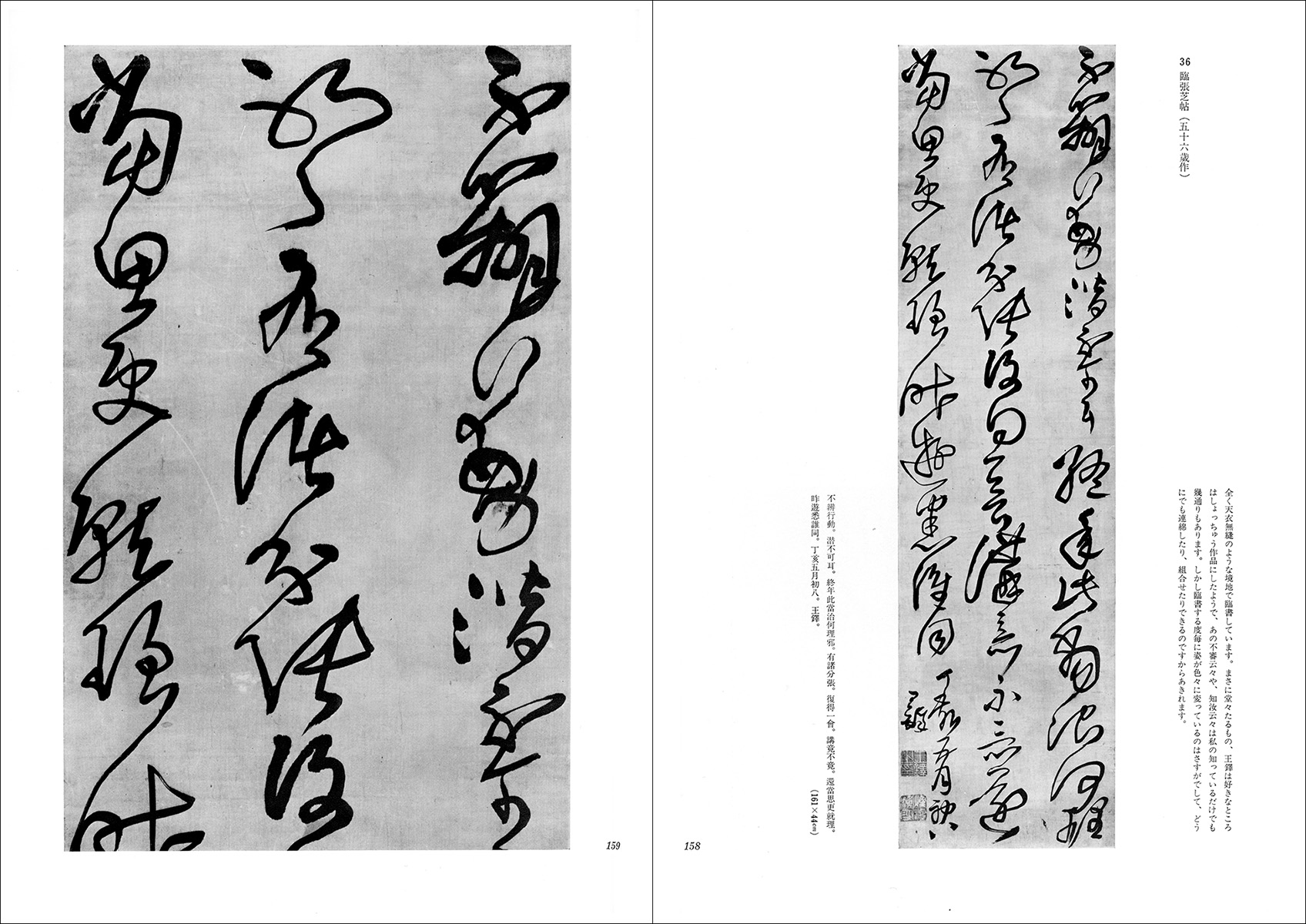 王鐸の書法［條幅篇］ - 株式会社二玄社
