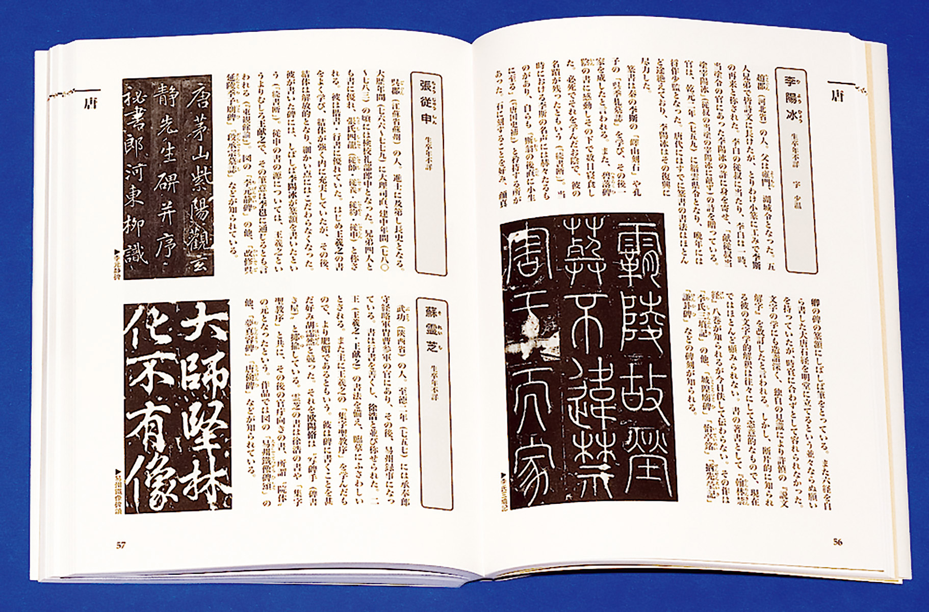中国書家 字典 二玄社 八大山人/顔真卿/王鐸/王羲之/呉昌碩/明清