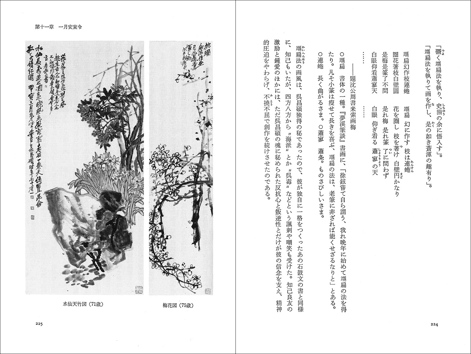 呉昌碩伝 - 株式会社二玄社