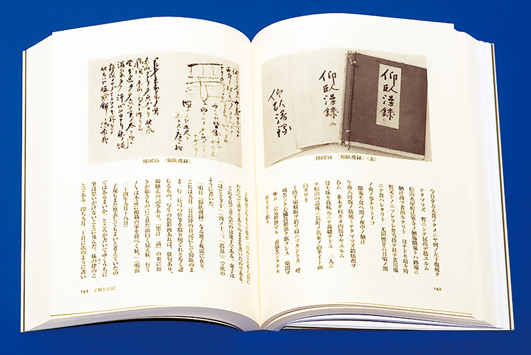 子規の書画［新訂増補］ - 株式会社二玄社