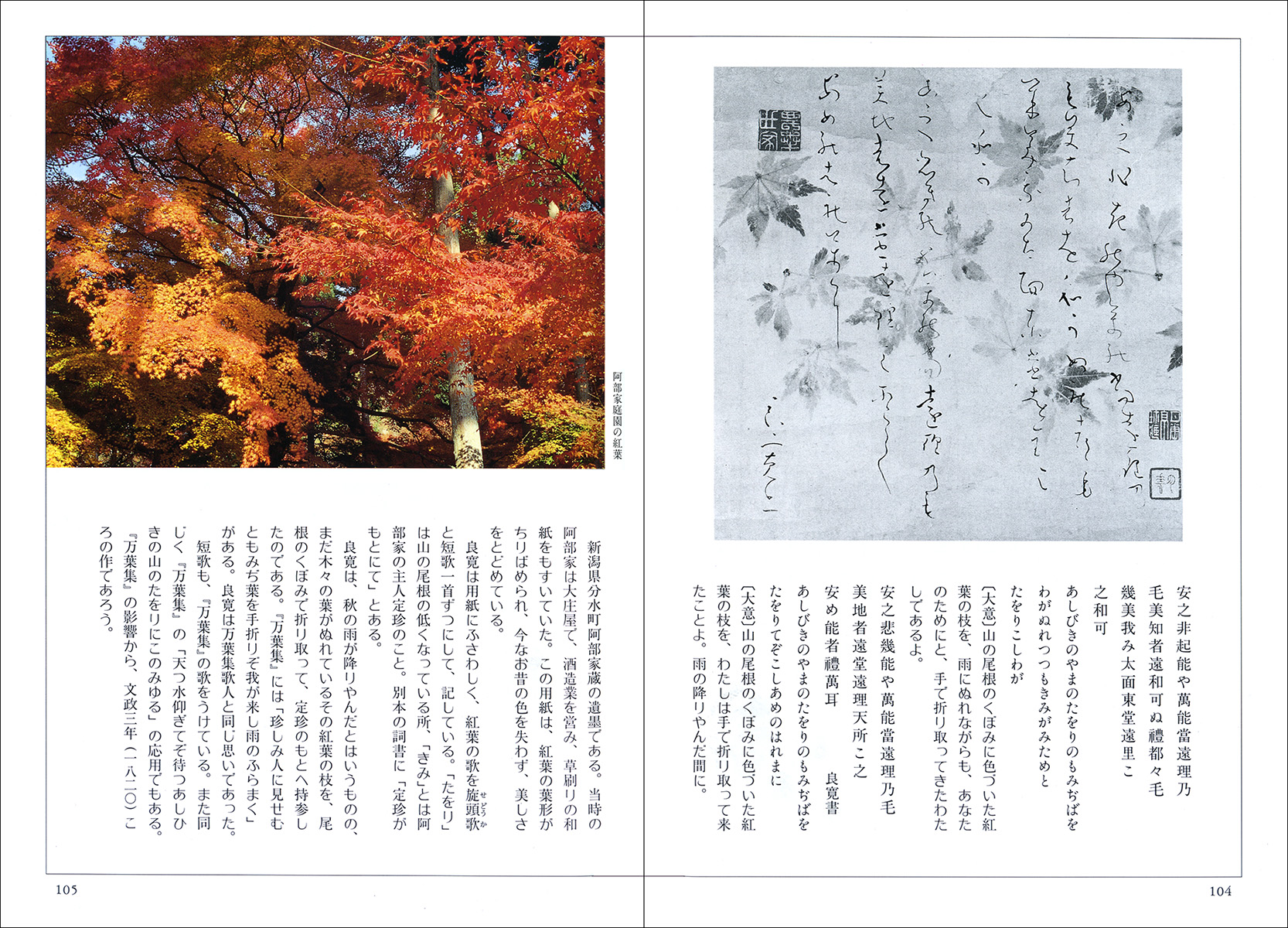 良寛［詩歌と書の世界］ - 株式会社二玄社