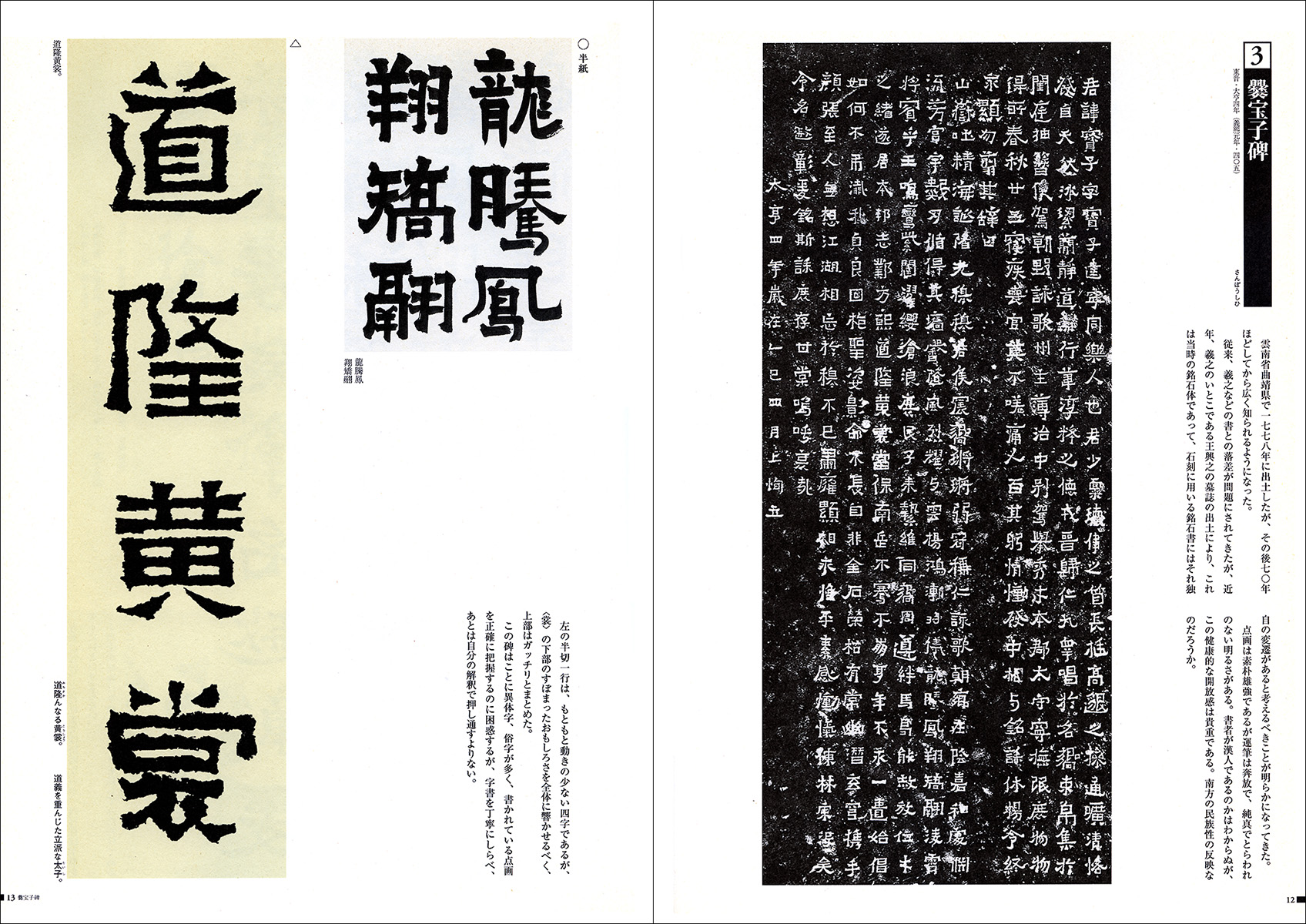 古典の新技法 5：六朝楷書 - 株式会社二玄社