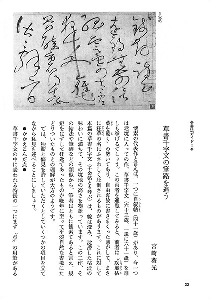 中国法書ガイド 44：草書千字文〈二種〉［唐・懐素］