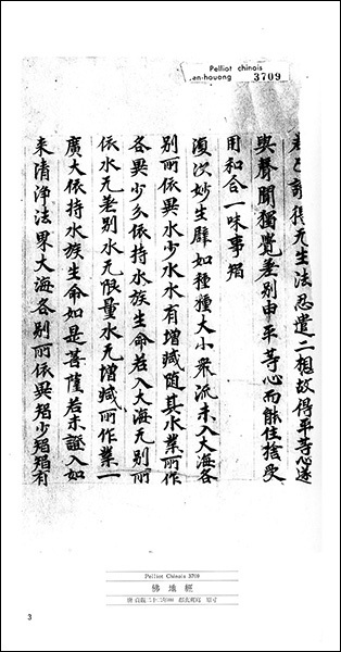 敦煌書法叢刊 23：写経4［仏地経残巻／衆経別録／維摩詰経巻下／他］
