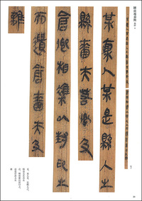 簡牘名蹟選 4:湖北篇〈二〉 秦・漢Ⅰ
