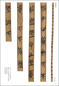 簡牘名蹟選 9:上海博物館篇 戦国